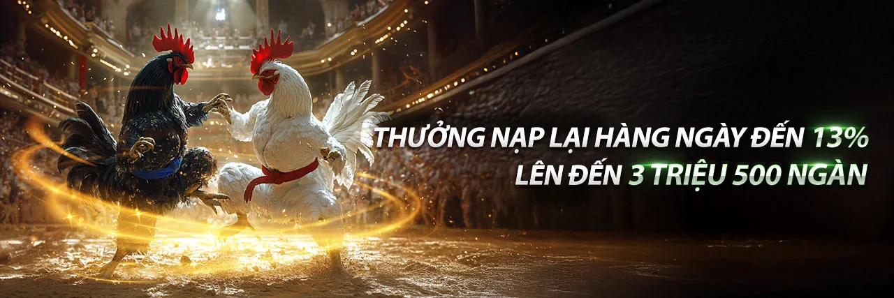 Bảng tổng hợp các môn thể thao phổ biến tại 990k3