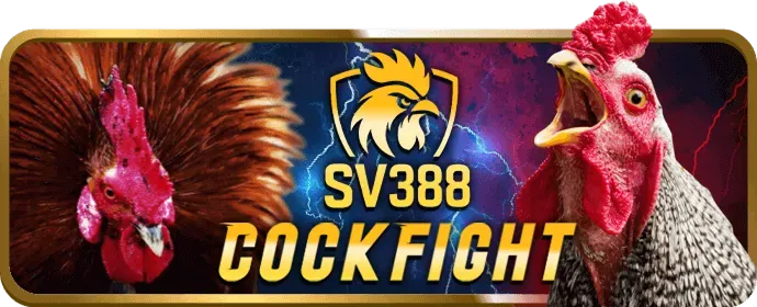 Bắn cá 990k3